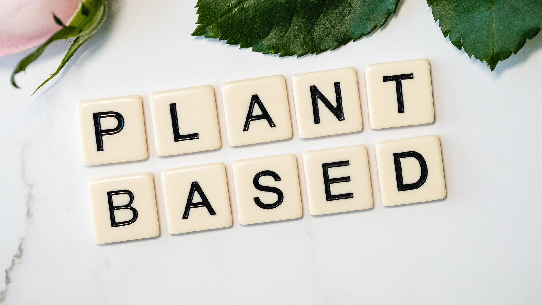 Scrabble tiles spelling out "Plant Based"