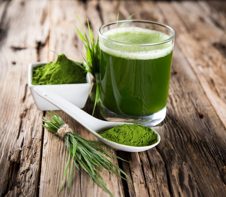 What is Spirulina